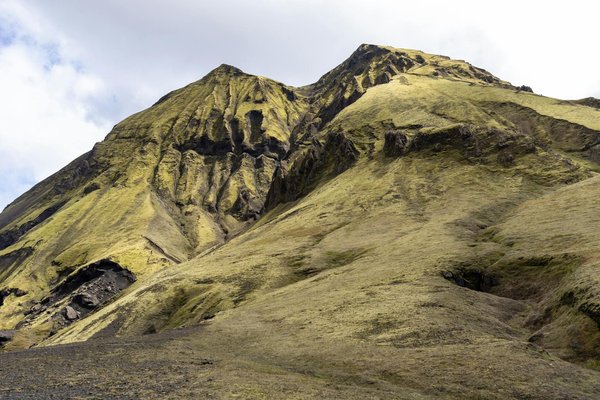 Délices Protéinés Minceur pour Sportifs : Recettes Power Boost