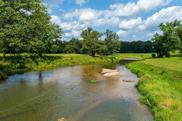 Recettes Minceur Délicieuses pour Garder la Ligne sans Compromis ni Frustration